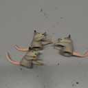 3 Pack Finger Possums Finger Puppets