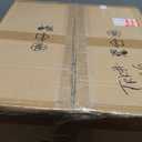 Rustic Wall Sconce, Lion Head Wall Sconce Lighting with Crystal Beaded Shade, Resin Farmhouse Decorative Wall Light Gold Finish (Large)