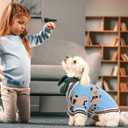 ABRRLO Small Dog Sweaters Cute Bear Dog Cardigans Clothes for Small  Dogs Boy Girl Puppy Cat Knitting Cardigan Outfits Dogs Winter Coats Warm Pet Doggy Clothes Soft Knitwear Apparel (Blue,S)