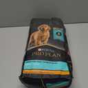 Purina Pro Plan High Protein Dry Puppy Food, Chicken and Rice Formula - 6 lb. Bag (6 Pound (Pack of 1))