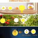 Original Fruit Fly Trap Ball with Light, 6pcs Hanging Fungus Gnat Killer Catcher, Adhesive Sticky Glue Catching Ball Fly Gnat Wasp Hornet Bugs Flying Insects Trap Ball for Indoor Outdoor Plant