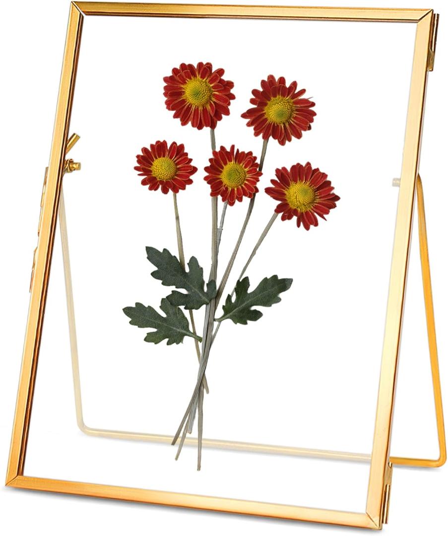 Glass Pressed Flower Frame Handmade, Floating Picture Frames for Pressed Flowers, Tabletop Artwork Photo Frames, Brass Desk Picture Frame for Home Office Plant Specimen, Gold, 5x7 Inches (5L" x 7W")