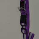 VIZPET LED Dog Collar, Light Up Dog Collar Adjustable USB Rechargeable Super Bright Safety Light Glowing Collars for Dogs (Purple, X-Large[22.83-27.55 inch/58-70cm])