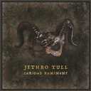 Curious Ruminant, Format: Audio CD