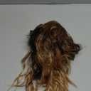 SEIKEA Ponytail Extension, 14" Short Wavy Drawstring Ponytail Lightweight Multi Layered Fake Pony Tails Hair Extensions Natural Soft Clip in Hair Extensions Ponytail Brown to Blonde