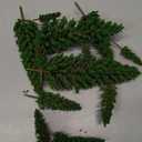 16 Pcs Model Pine Trees, 1.4-6.3 Inch Mixed Miniature Trees Diorama Supplies Fake Tree Landscape Tree for DIY Crafts, Building Model Scenery Landscape (Natural Green)