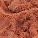 TOONOW Faux Fur Luxury Throw Blanket,Double Side Soft Fluffy Shaggy Fuzzy Blanket for Couch Sofa Bed (Carnelian, Throw)