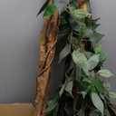 6ft Artificial Ficus Tree with Natural Wood Trunk, Silk Fake Ficus Tree in Plastic Nursery Pot, Faux Plant for Office Home, Indoor Outdoor Decor, 1 Pack