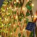 suddus Solar Ivy String Lights, 33ft 100 LED Vines with Lights Warm White