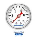 MEASUREMAN 1-1/2" Dial Size, Glycerin Filled Fuel Pressure Gauge, 304 Stainless Steel case, 0-15Psi, 3-2-3%, 1/8" NPT Back Mount