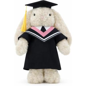 Graduation Bunny Plush Toy, 9 Inch Stuffed Rabbit with Cap and Gown, Class of 2026 Congrats Keepsake Gift for Kids, Teens, Students, Kindergarten, High School or College