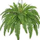 Fake Hanging Plants Large Boston Fern Artificial Plants Outdoor Realistic Fake Ferns with Palm Basket Silk Plants Ferns Hanging Plant Artificial Decor for Home Front Porch Window Garden - Green
