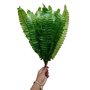 Artificial Ferns Bunch for Decoration of Home, Office, Living Room