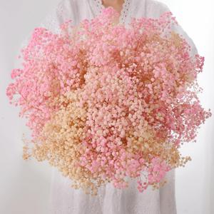 3500+ Dried Babys Breath Flowers Pink & White-17'' Baby's Breath Bulk Bouquet, Real Natural Dried Gypsophila Flowers for Resin, Home Vase Decor, Card DIY, Party, Wedding Flower Wreaths