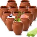 Kingrol 12 Pack 2 oz Mexican Cantaritos de Barro Pottery Shot Glasses, Mini Clay Cups for Tequila, Margaritas, Mojitos