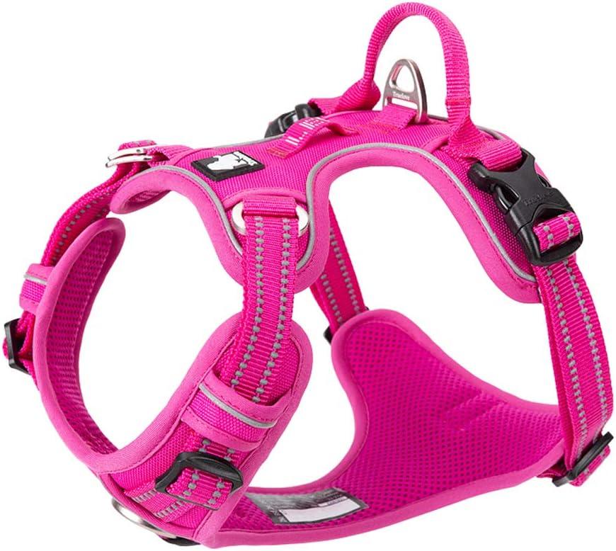 TRUE LOVE Dog Harness No Pull Nylon Reflective Pet Harness Adjustable Comfortable Control Step-in Brilliant Colors Truelove TLH56512 Fuchsia, Medium