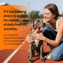 Smart Dog GPS Tracker,Live Pet Tracker with Virtual Fence Dog Collar with App,Smart Alerts,Collar-Compatible,4G Built-in SIM,iOS & Android