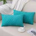 DecorUhome Summer Throw Pillow Covers 12x20 Inch Set of 2, Soft Plush Faux Wool Turquoise Solid Couch Pillow Covers, Accent Farmhouse Neutral Rectangle Pillow Cases for Sofa Bed Living Room