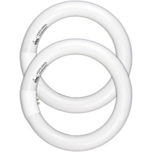 CHKADAWA Circular Bulb FC8T9/DL, 8 Inch T9 22W Circline Fluorescent Light Bulbs, Replacement Round Fluorescent Lamp Tube, Bright Daylight 6400K 1250 Lumens, G10q 4 Pin Base, 2 Pack
