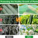 Garden Mesh Netting Kit for Raised Beds, 10x30FT Green Garden Netting 6 Sets Fiberglass Garden Hoops, Row Cover Garden Netting Pest Barrier Plant Protection for Vegetable Flowers Fruits