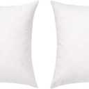 FBTS Basic Throw Pillow Inserts 18x18 Inch Set of 2 Square Sham Stuffer Down Alternative Pillow Forms for Decorative Cushions and Pillows