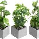 MyGift Artificial Plants Indoor, Set of 3 Small Fake Potted Plants, Faux House Plant for Home Decor