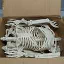 CAMIRUS 2PACK 36" Skeleton Halloween Decorations, 3ft Life Full Size Skeleton with Realistic Posable Movable Joints for Halloween Haunted Houses, Lawn, Graveyard : Patio, Lawn & Garden