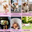 Pet Soft Female Dog Diapers, 3 Pack Washable Dog Diapers Female for Dogs in Heat Reusable Dogs Period Panties, Puppy Diapers (Food, XS)