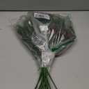 17Pcs Faux Pine Branches Norfolk Stem for Christmas Decoration, Artificial Greenery Plants Pine Needles with Pinecones for Table DIY Home Winter Indoor Vase Real Touch Christmas Decorations