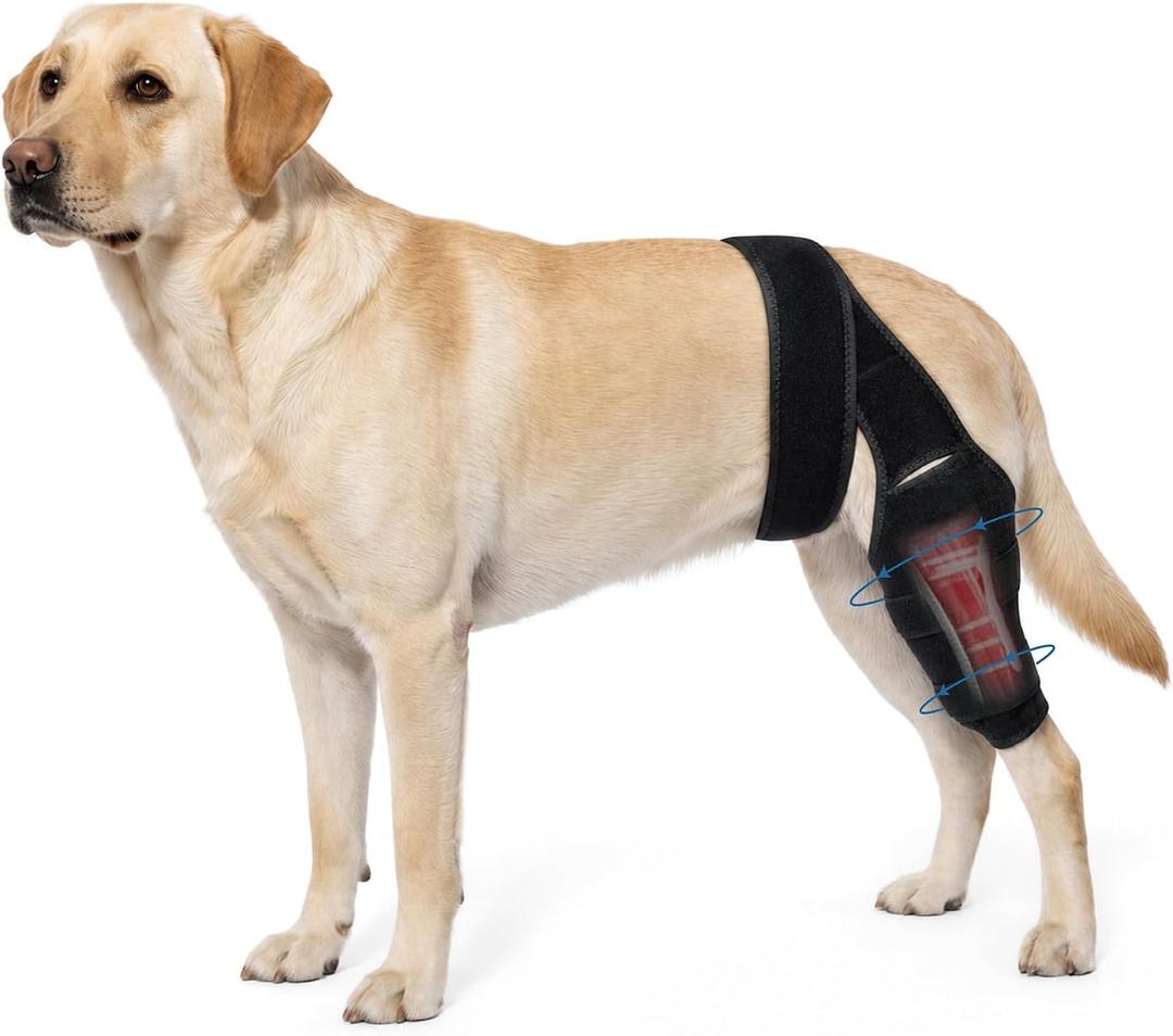 Dog Knee Brace for Hind & Rear Legs,Adjustable Dogs Compression Brace with Joint Instability, Torn ACL, Limping or Osteoarthritis - Reduces Pain and Inflammation,Post Surgery Care Recovery-Black (M)
