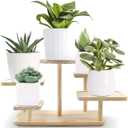 Small Table Top Plant Stand Indoor 5 Tier Wooden Tabletop Adjustable Mini Plant Shelf for Desk, Desktop, Outdoor Patio Garden Decorations