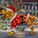 MUMTOP Beagle Dog Lighted Outdoor Christmas Decorations, Indoor Outdoor Lighted Holiday Displays, Light Up Puppy with Red Suit and Hat Christmas Decoration for Porch, Home Decor Gift (brown)