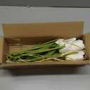 Artificial Tulips Flowers  24" Long Stem Faux Tulips, 7PCS Real Touch Fake White Tulip for Vase, Farmhouse, Kitchen, Spring & Wedding Home Decor