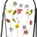 Double Glass Frame for Pressed Flowers Handmade, Metal Floating Picture Frame for Pressed Flower, Tabletop Display, Brass, ArcShaped, Black, 4x6 inches (FRAME ONLY) (4L" x 6W")