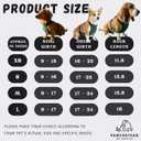 Dog Belly Protector Waterproof Halter Top for Outdoor Exercise Soft Comfy Inner Fluff Prevent Dirty Belly Suitable for Rainy Day Prevent Mug & Dirt (Boy/Male, Medium)