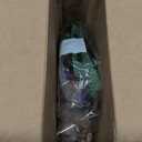 LEGO Botanicals Flower Bouquet Building Set - Artificial Flowers for Decoration for Home and Display, Ages 18+ - Small Fake Flowers for Table, Desk, Office - Gift for Birthdays - 10280