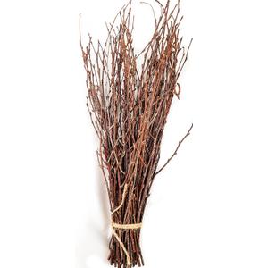 50 pcs Birch Branches for Vases, Decoration for Sale. Natural Birch Twigs for centerpieces. Floral Stick.