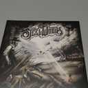 Straw in the Wind by The Steel Woods