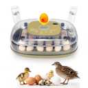 Gen III - 24 Egg Automatic Incubator, Stage-Based Adaptive Humidity with Auto-Refill, Stable Temp Control, Flexible Spacing, Adjustable Auto Turning & Lockdown, Custom Incubation Days, Candler, Alarm