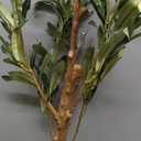 Faux Olive Tree 6ftOlive Trees Artificial Indoor with Natural Wood Trunk and Realistic Leaves and Fruits. 6 Feet(72in) Fake Olive Tree for Home House Office Dcor.