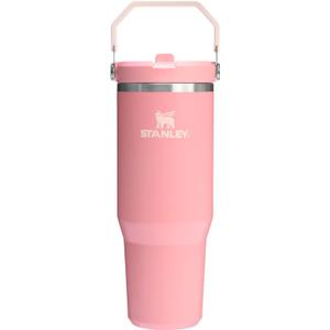STANLEY IceFlow 2.0 Flip Straw Tumbler with Handle 30 oz | Twist On Lid and Flip Up Straw | Leakproof Water Bottle | Insulated Stainless Steel | BPA-Free | Pink Mesa