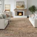Fmfunctex 6x9 Washable Area Rug Rust Brown Vintage Neutral Distressed Oriental Large Non Slip Carpet for Living Room Bedroom Soft Low Pile Indoor Retro Throw Rug for Dining Room Kitchen Office Nursery