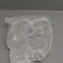 NUK Learner Cup, 8+ Months, Fun Fruits and Animals, 10 Oz, Pack of 2, BPA-Free, Soft Spout, Spill Proof Sippy Cup