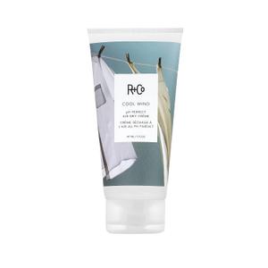 R+Co Cool Wind pH Perfect Air Dry Hair Cream | Hydrates + Tames + Softens | Vegan + Cruelty-Free