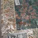 2x3 Washable Throw Rugs for Entryway: Small Area Rug Door Mat Indoor Entrance Non-Slip Low Pile Soft Kitchen Rug for Front Door Indoor Entrance Entry Bedroom Kids Room