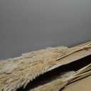 40" inch 10 Stems Natural Pampas Grass Decor Tall, Pompas Grass, Tall Pampas Grass for Wedding, Party, Farmhouse, Boho Home Decor