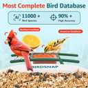 birdsnap TUC Bird Feeder with Camera 2K HD Live with 32GB Card Auto Detect & Notify AI Identify Camera Birds Feeders Solar Powered Wireless Outdoors Backyard Gift for Mom Dad Birds Lover, 2.4G WiFi