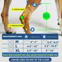 Dog Leg Brace for Rear Leg, Hock & Ankle Support, Dog Brace for Torn ACL & CCL, Dog Leg Sleeve for Back Hind, Rear Legs ACL Tear for Dog Arthritis (M Pair)