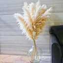 10 Stems 46" inch Dried Pampas Grass Decor Tall, Large Pompas Grass, Boho Neutral Home Decor Bouquet, Fluffy Pampass Grass for Floor Vase Wedding Floral Arrangements Wall Farmhouse Table Decor