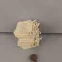 Natural Loofah Dish Sponge,Compostable, Kitchen Sponge,All-Purpose,Non-Toxic,Plant-Based,Eco-Friendly (Pack of 30)